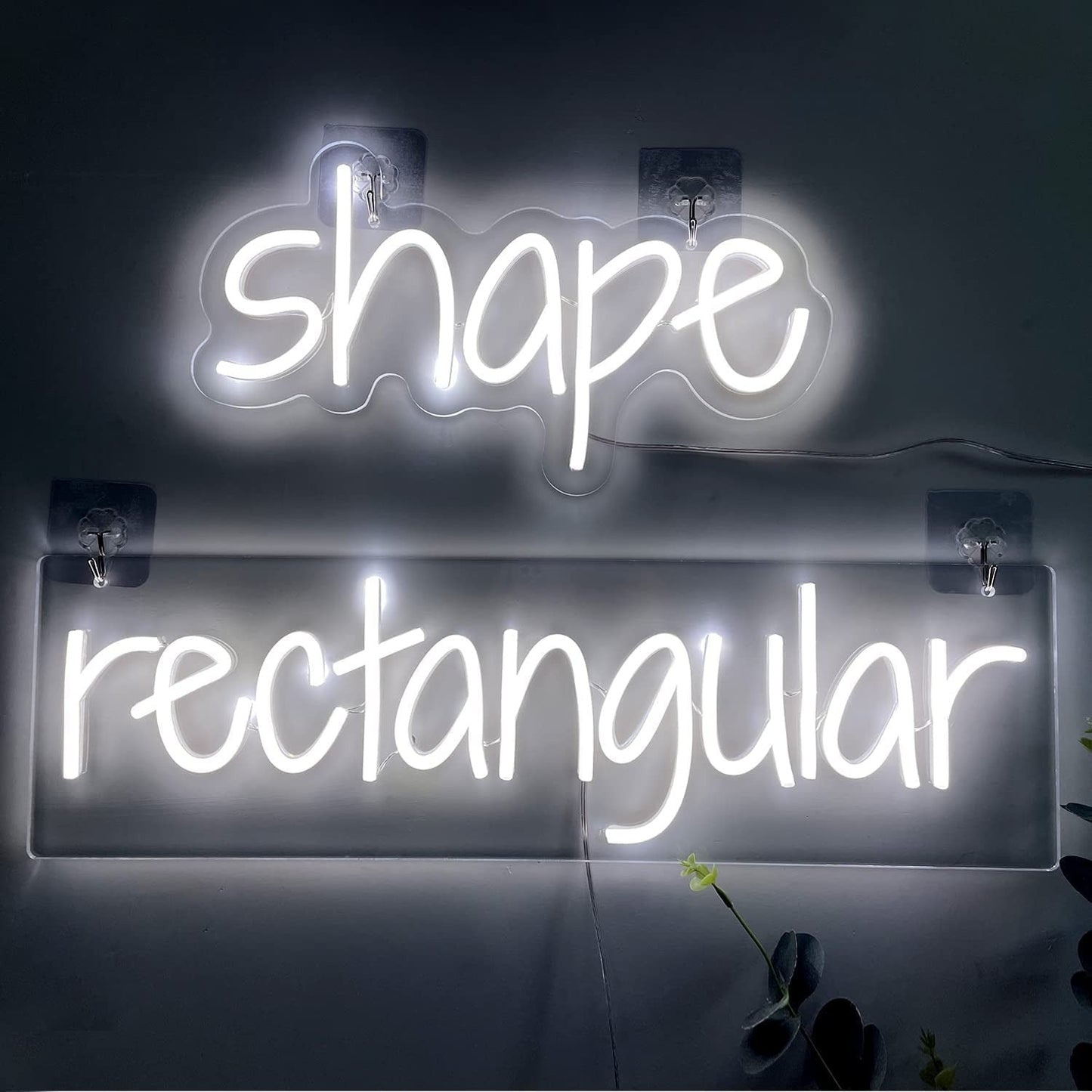 Enseignes Néon LED personnalisée | Projet223