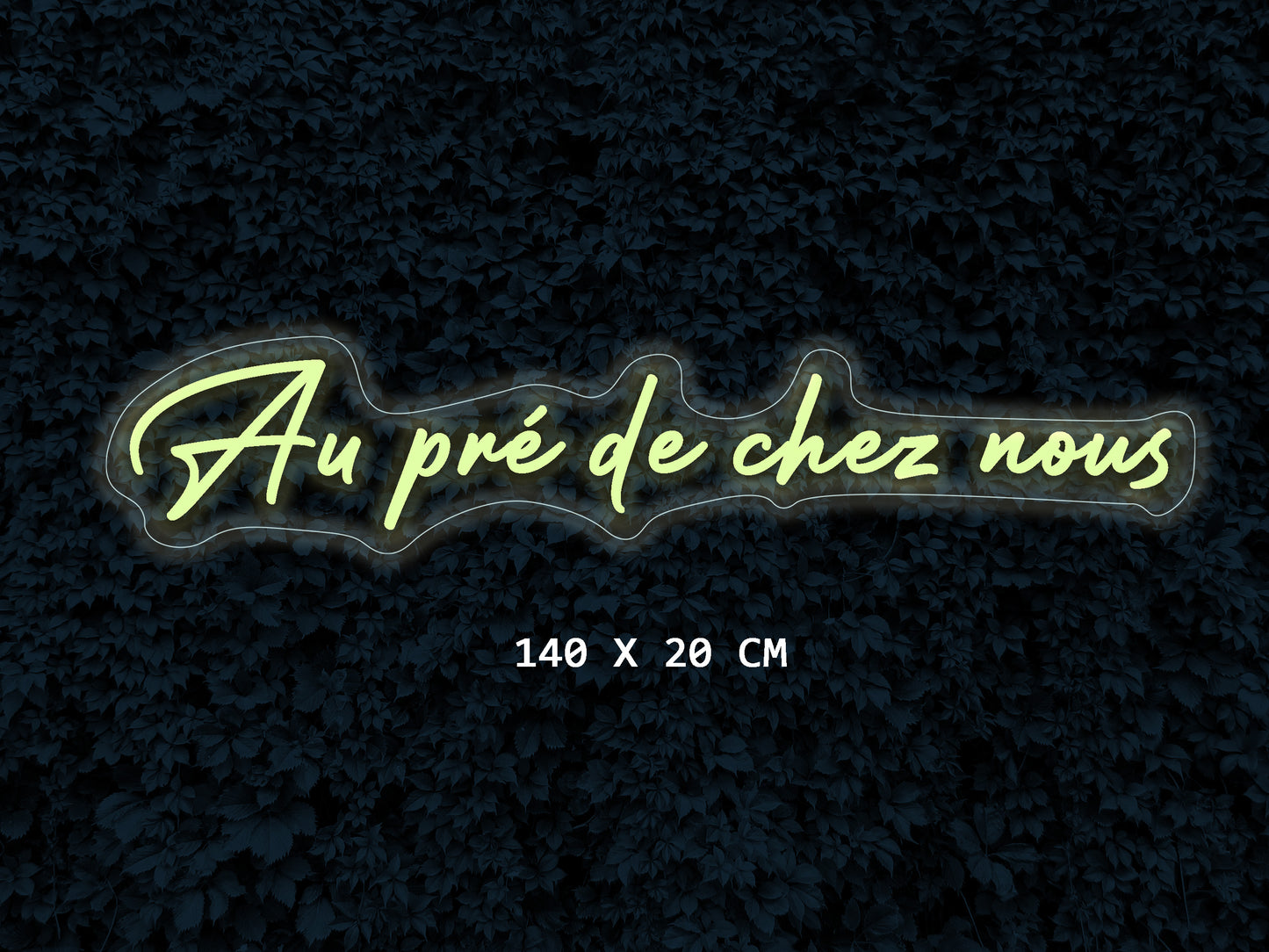 Enseignes Néon LED pro Personnalisées | P224